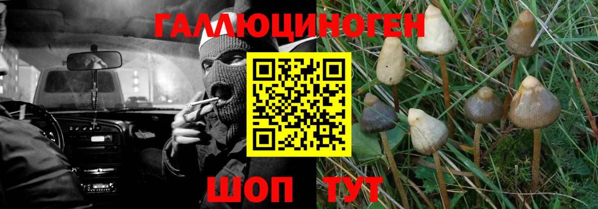 Псилоцибиновые грибы ЛСД Сланцы