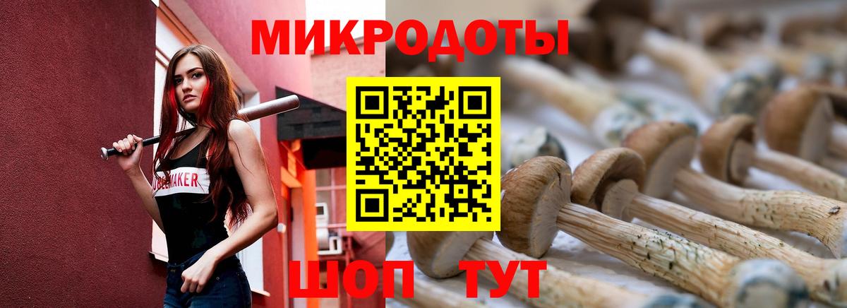 Псилоцибиновые грибы Psilocybe  Вход с VPN  Галлюциногенные грибы MAGIC MUSHROOMS  Сланцы 